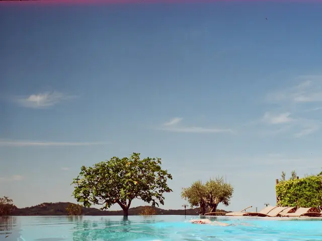 In this image we can see a person swimming in a pool. We can also see some benches, a group of...