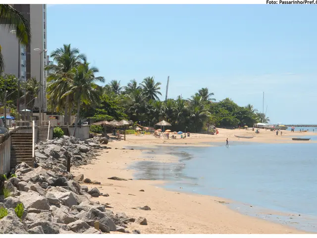 This image is clicked near the beach. To the right, there is water. To the left, there are rocks...