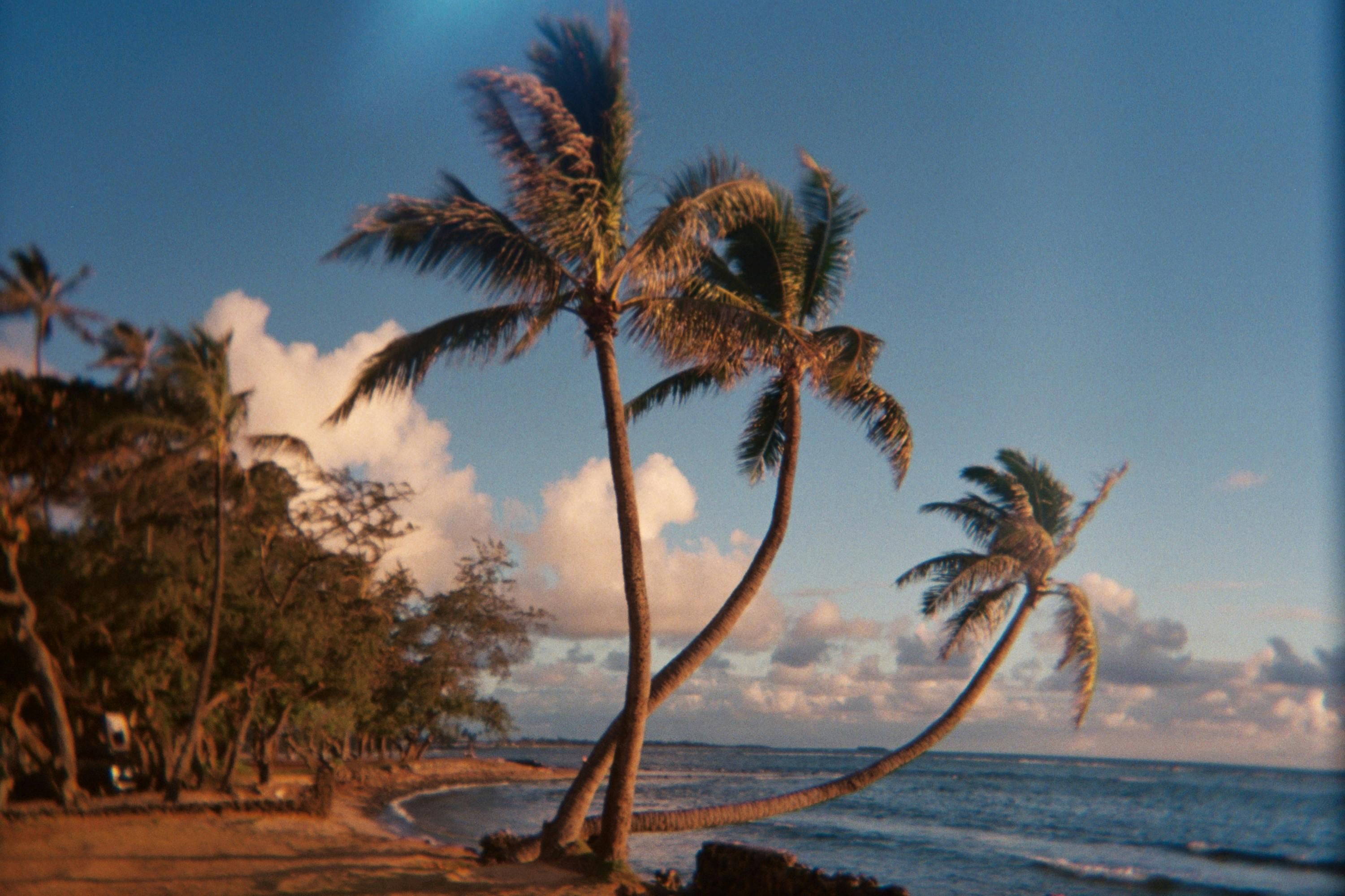 Train praised for cleanliness, comfort, and services, astonishing online users.