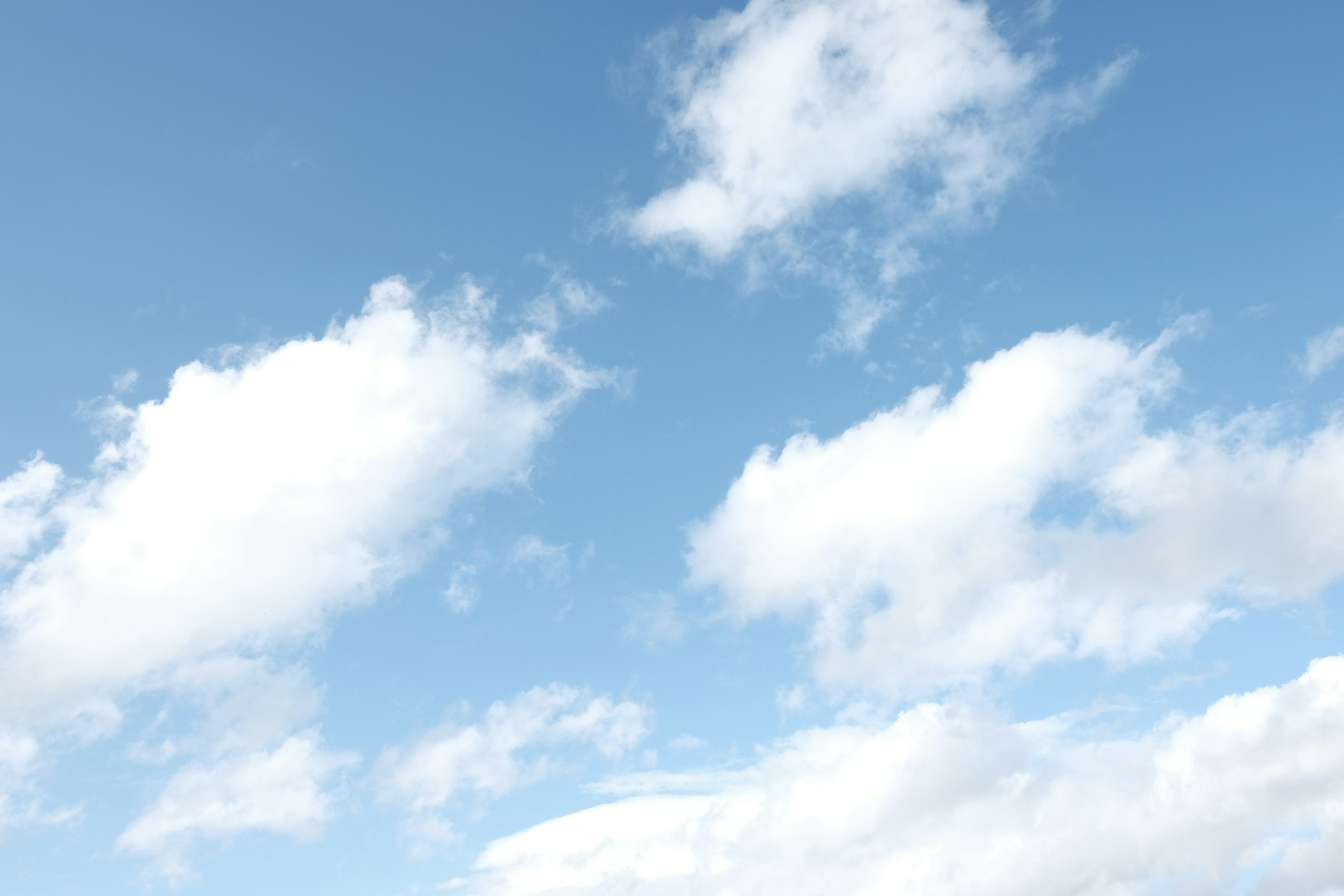 Direct Flights Introduced from Shymkent to China, Egypt, Germany, Hungary, and South Korea