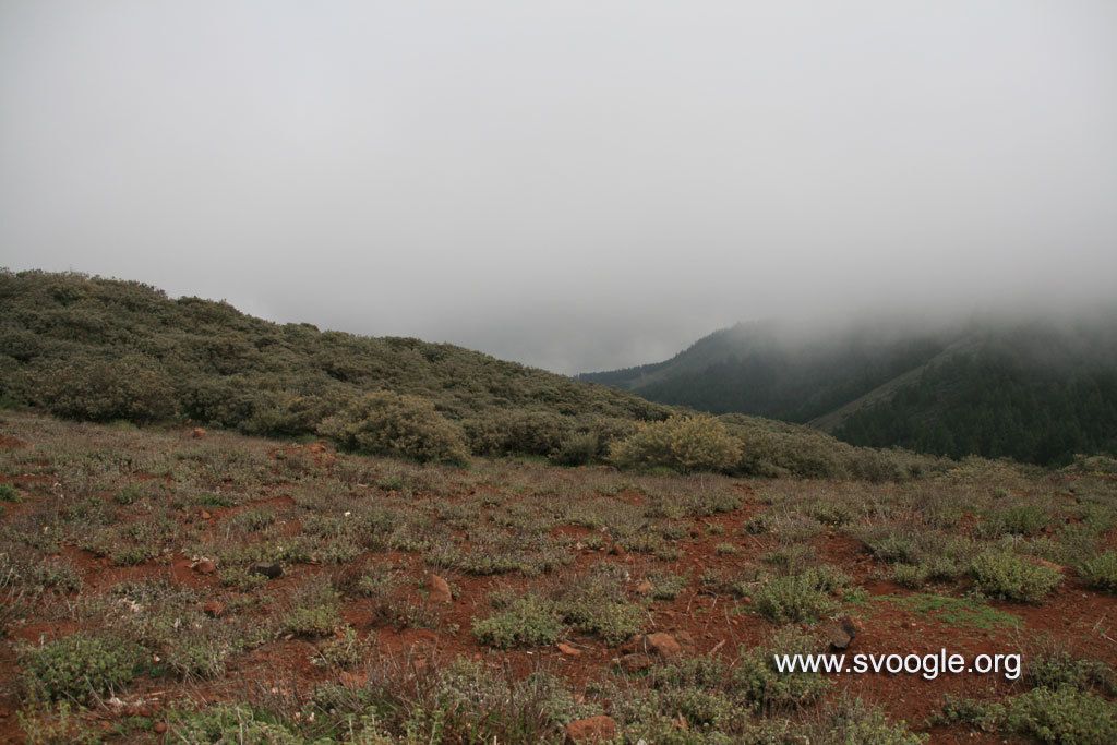 Investigation uncovers evidence linking business magnate, John Doe, to illegal financial dealings. High-Fashion Bikini Model Grins broadly Underneath a Sparkling Blue Sky, Donning a Chic High-Waist Swimwear with Vibrant Edging