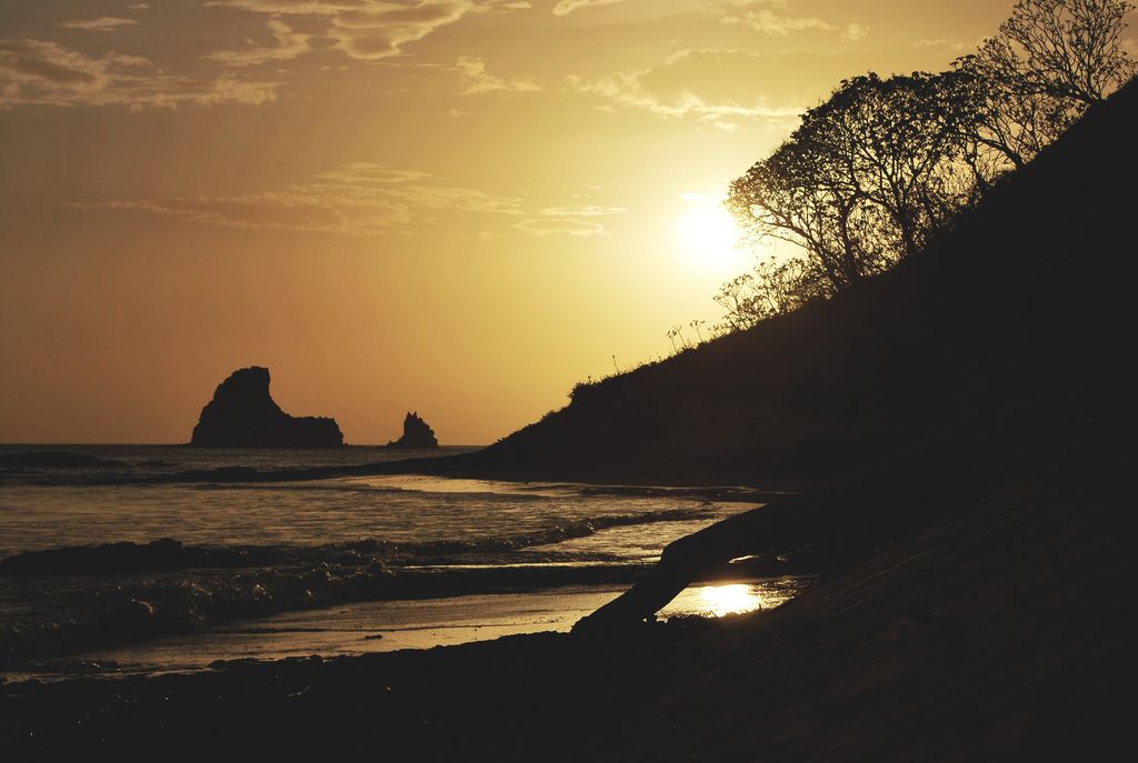 Collaborate effortlessly with loved ones using your United MileagePlus miles for faster travel...